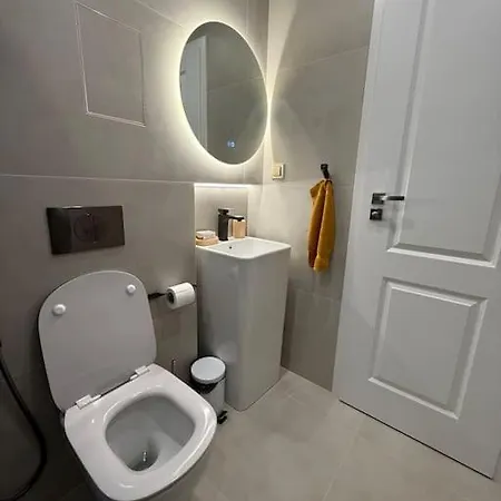 Cozy Design 1 Bedroom Apartment