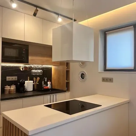 アパート Cozy Design 1 Bedroom バンスコ